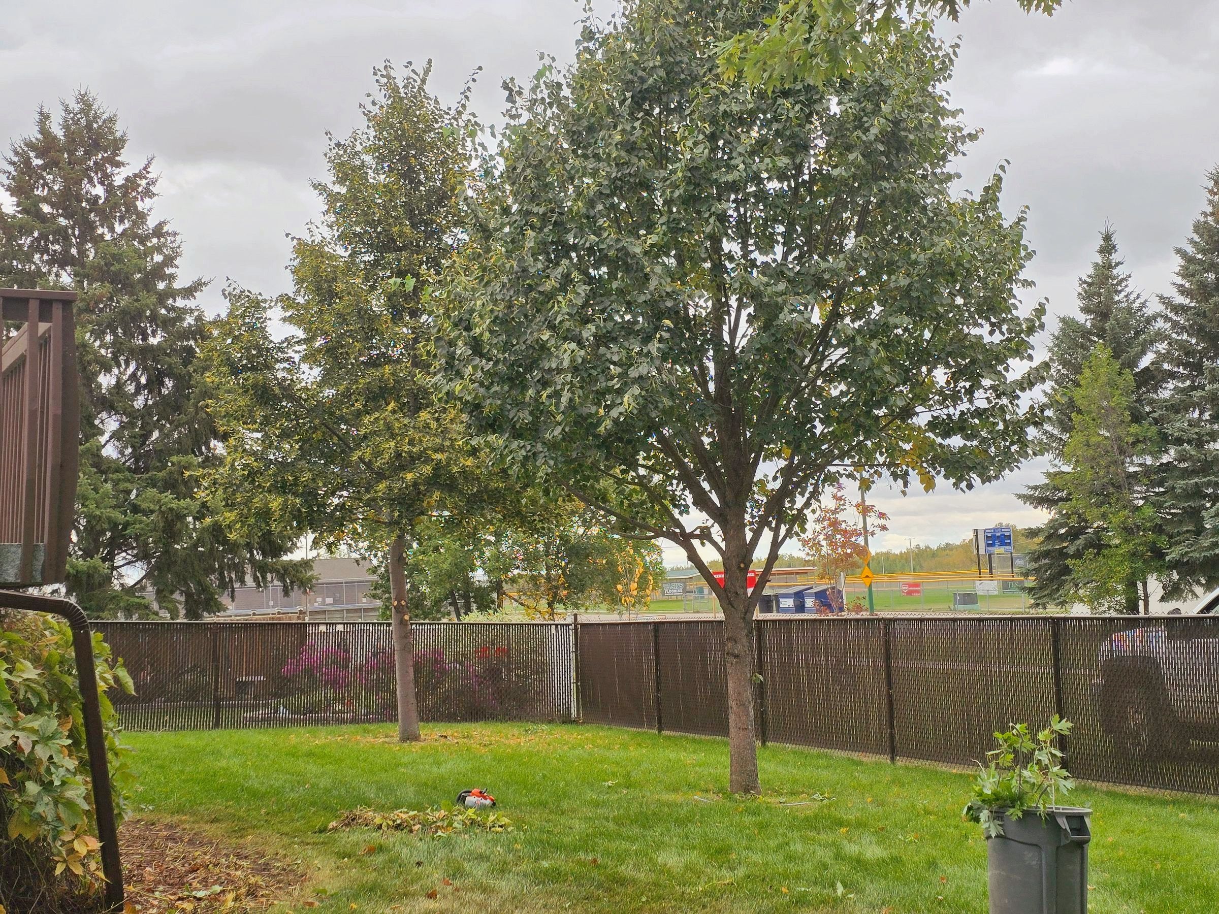 Clip & Trim 
Yard Maintainence's image