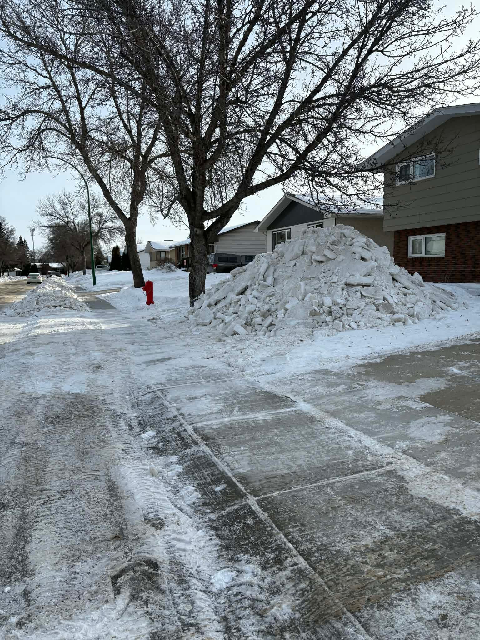 Clip & Trim 
Yard Maintainence's image