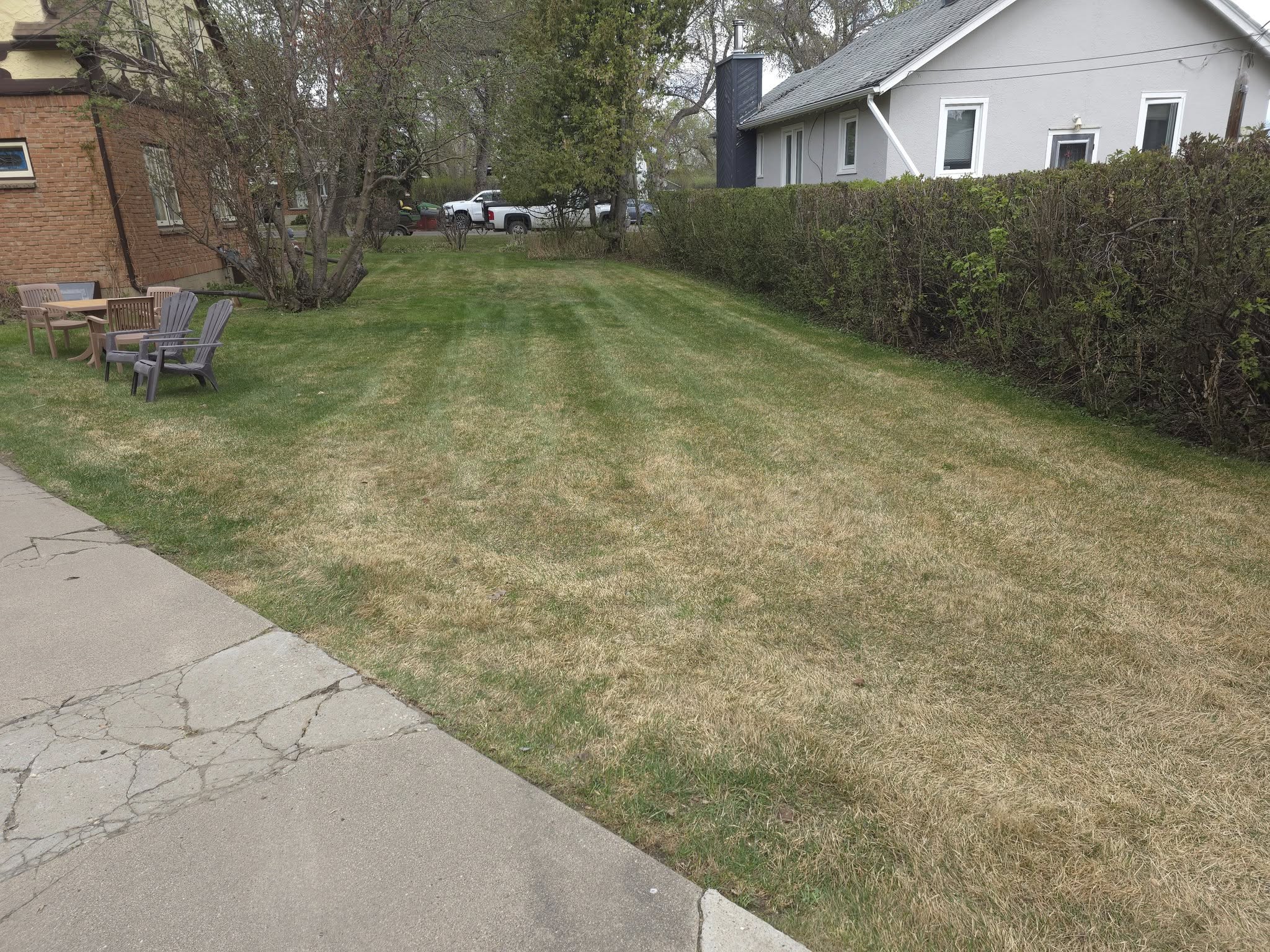 Clip & Trim 
Yard Maintainence's image