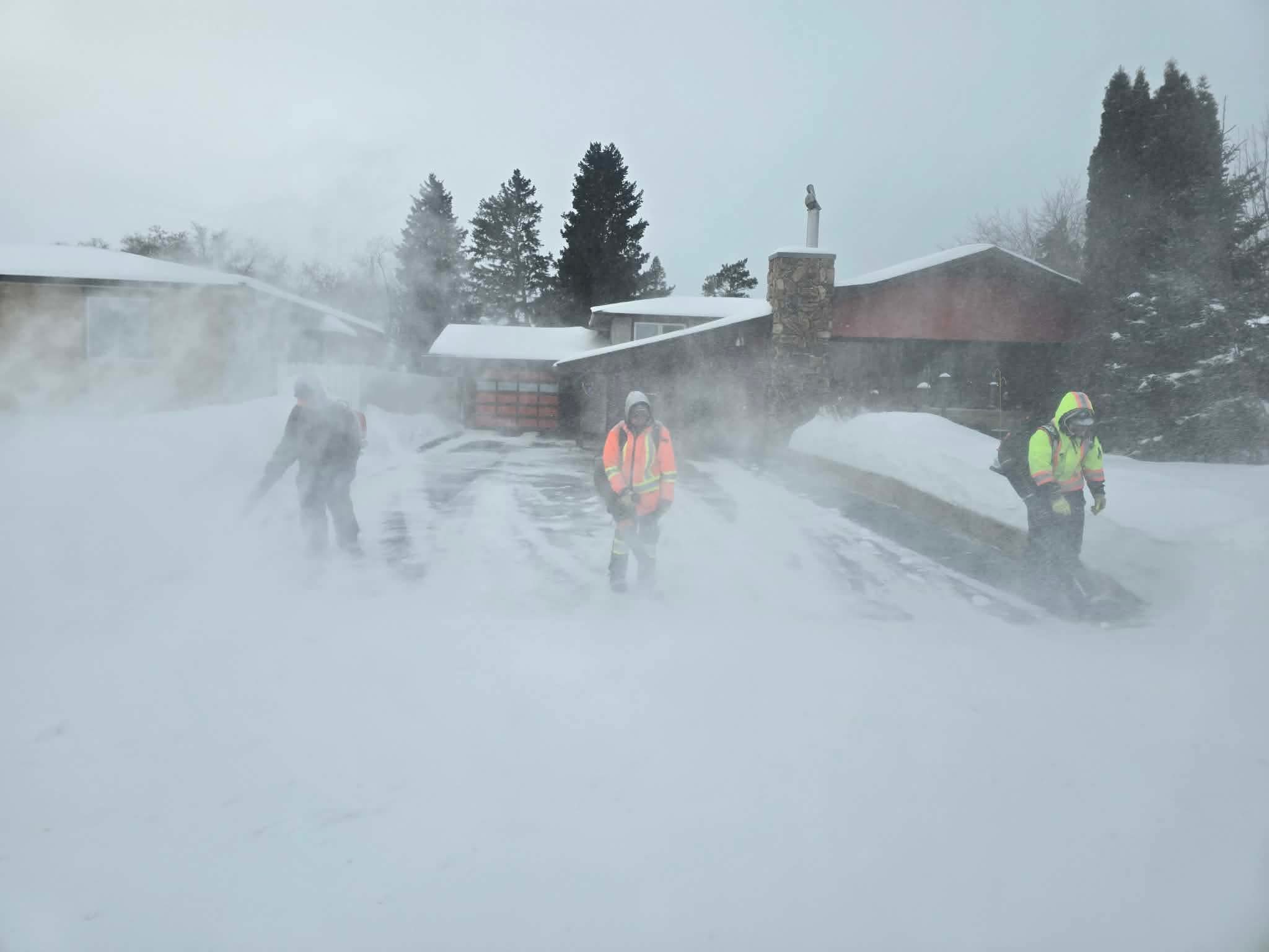 Clip & Trim 
Yard Maintainence's image