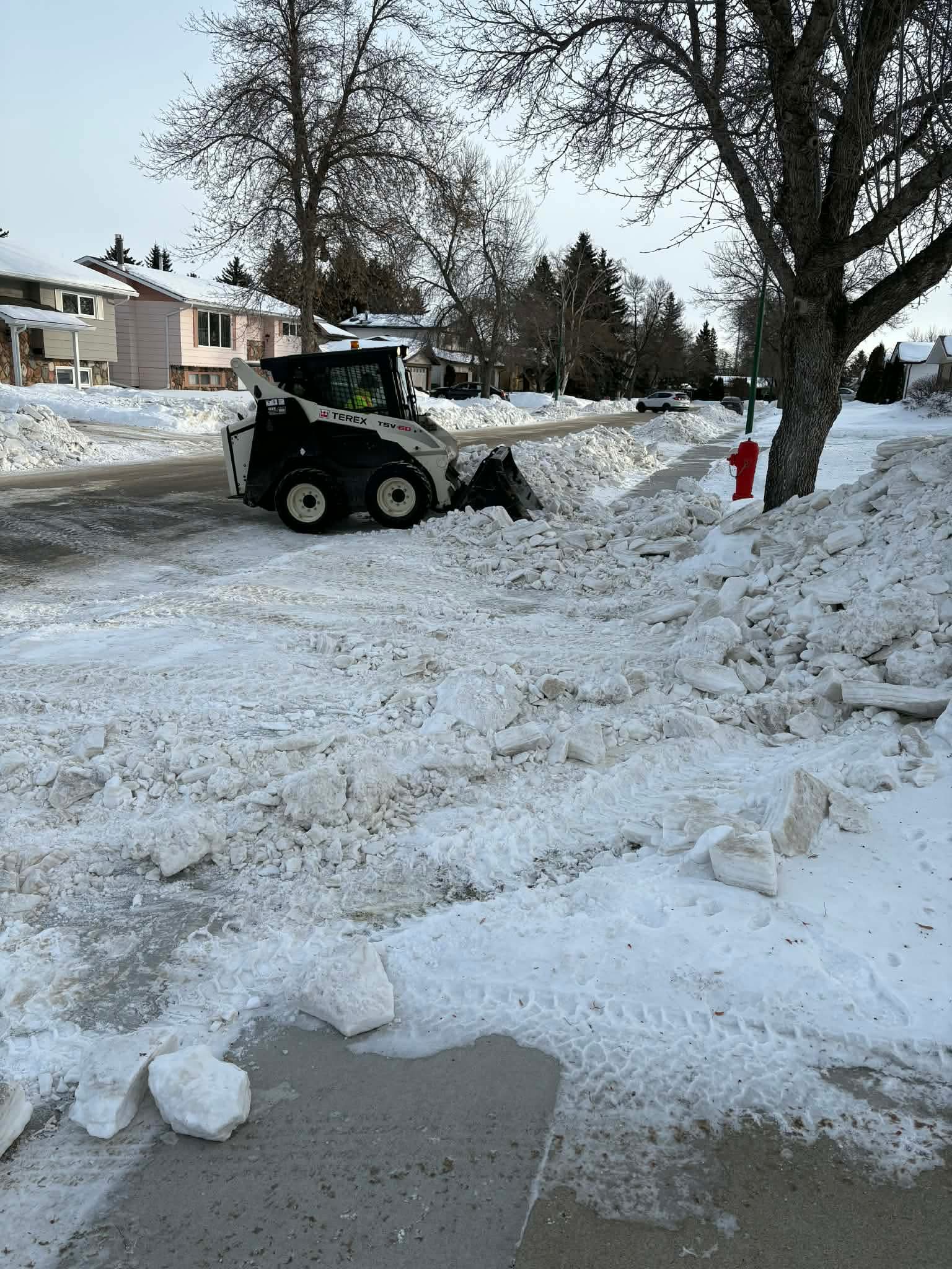 Clip & Trim 
Yard Maintainence's image