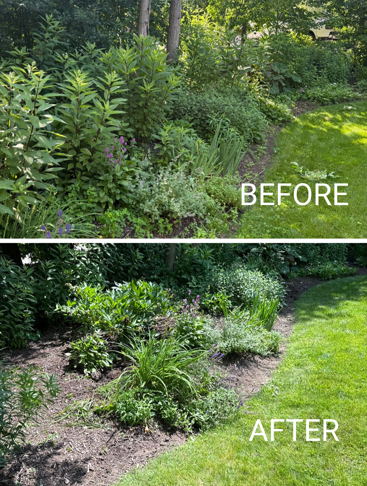 Class Act Landscaping's image