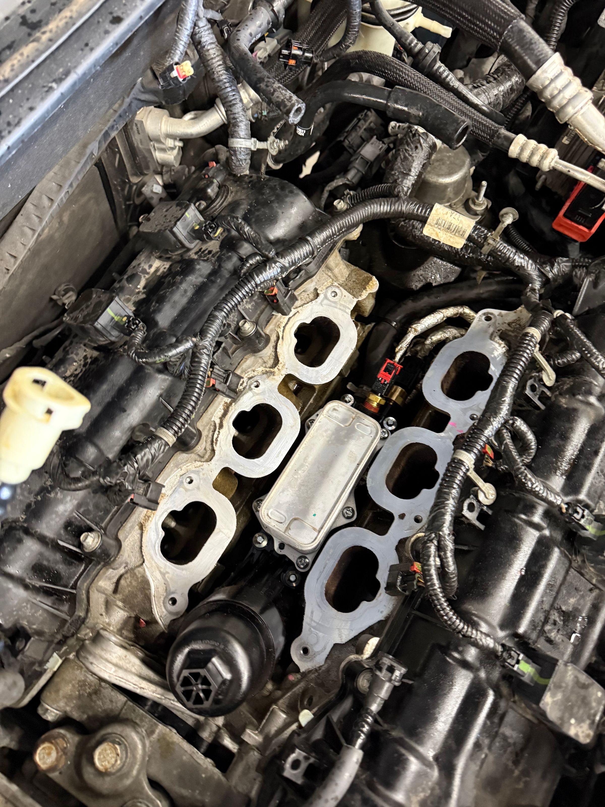 Oil cooler 