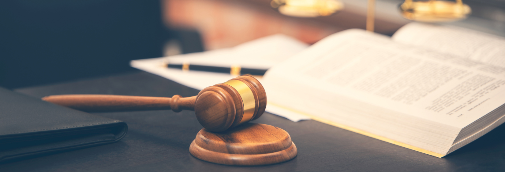 Legacy Path Solutions's image