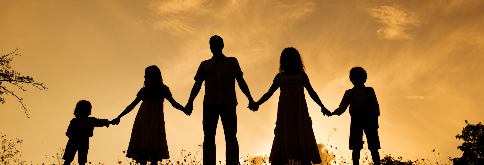 Legacy Path Solutions's image