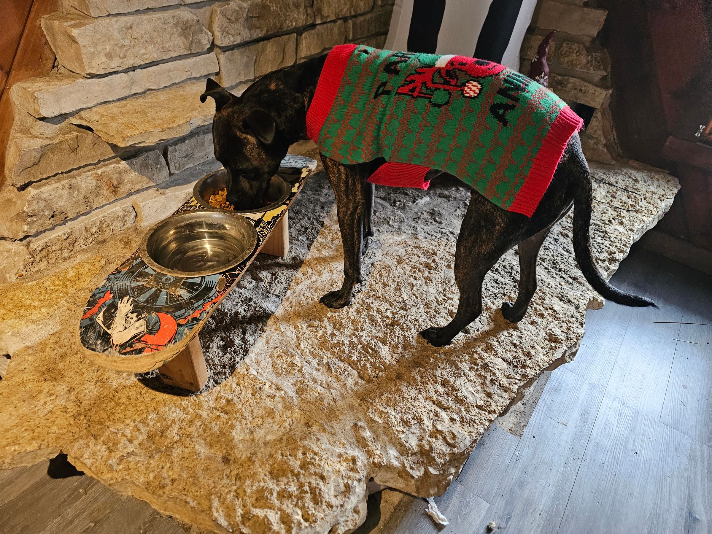 Forgetful Stonerz's image