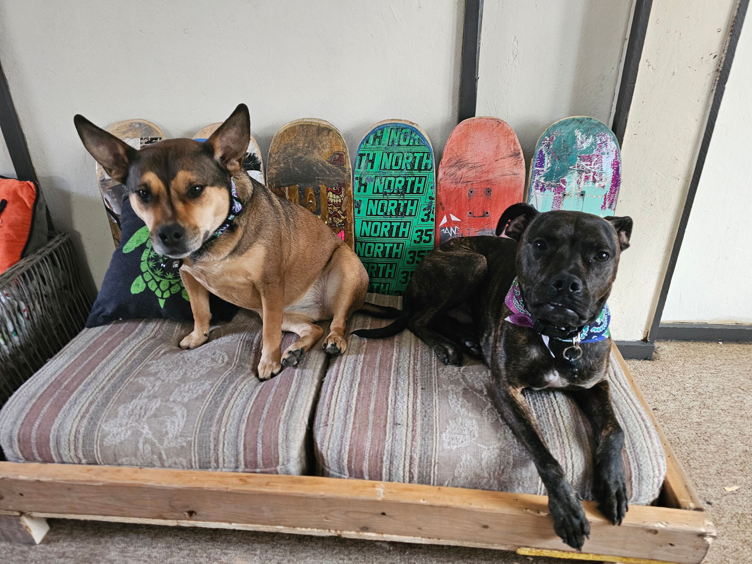 Forgetful Stonerz's image