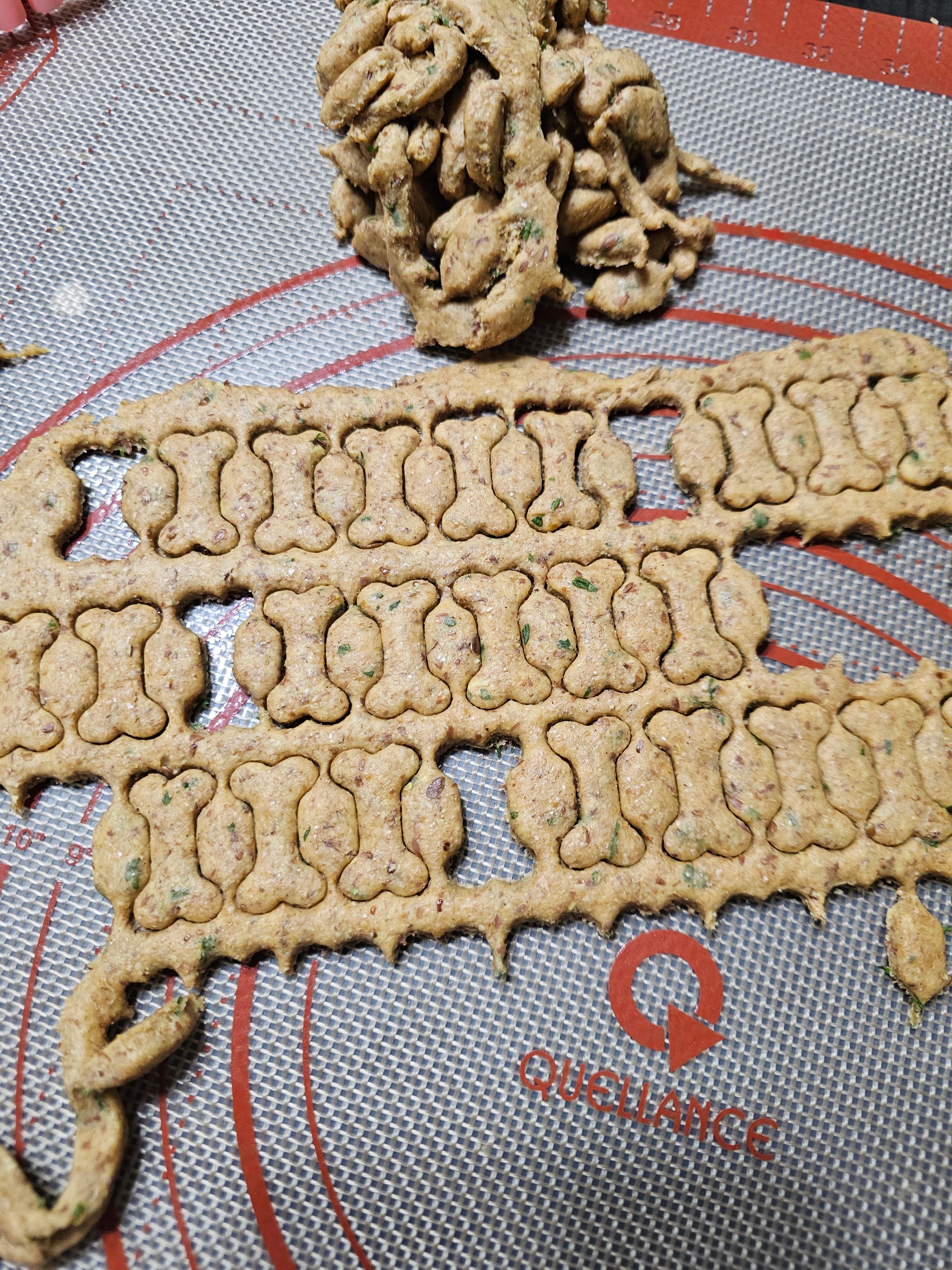 Forgetful Stonerz's image