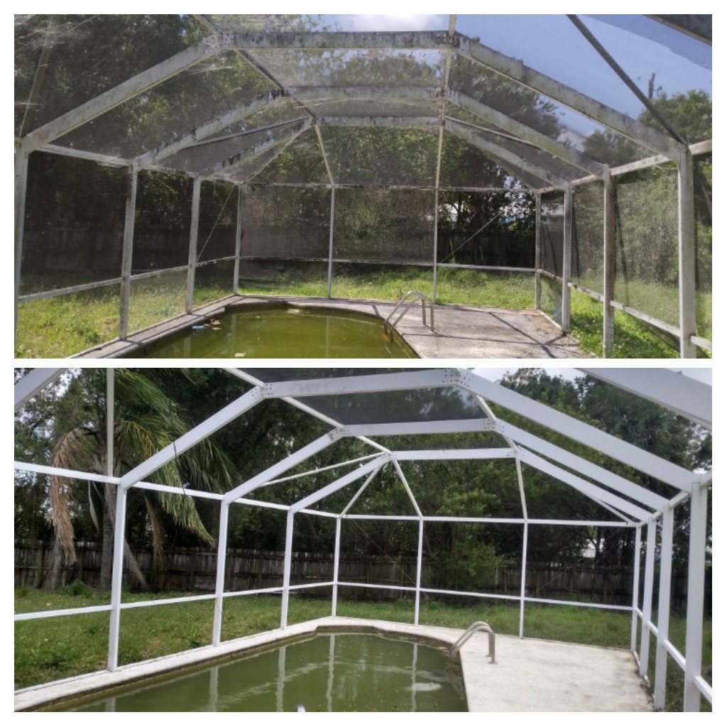 Before / after pool/enclosure 