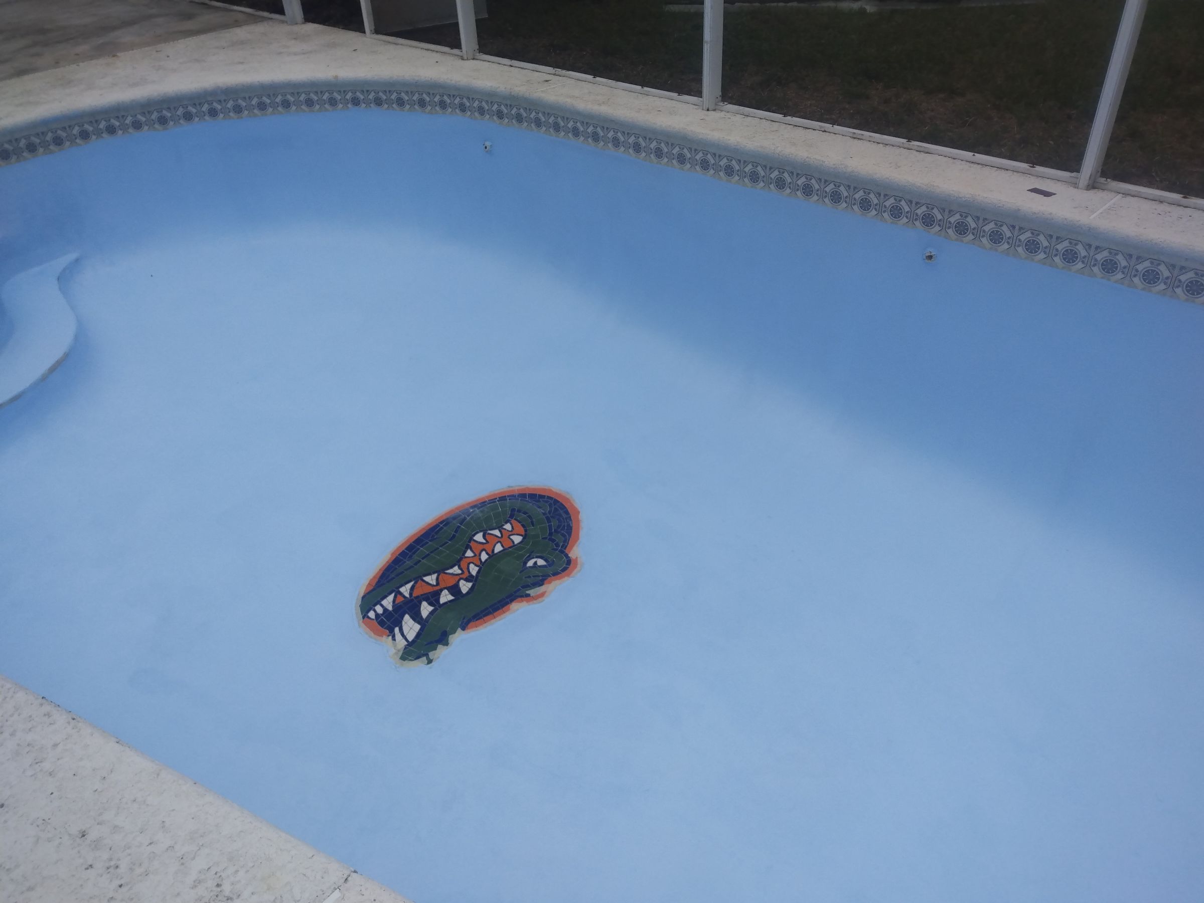 Pool new paint / repairs