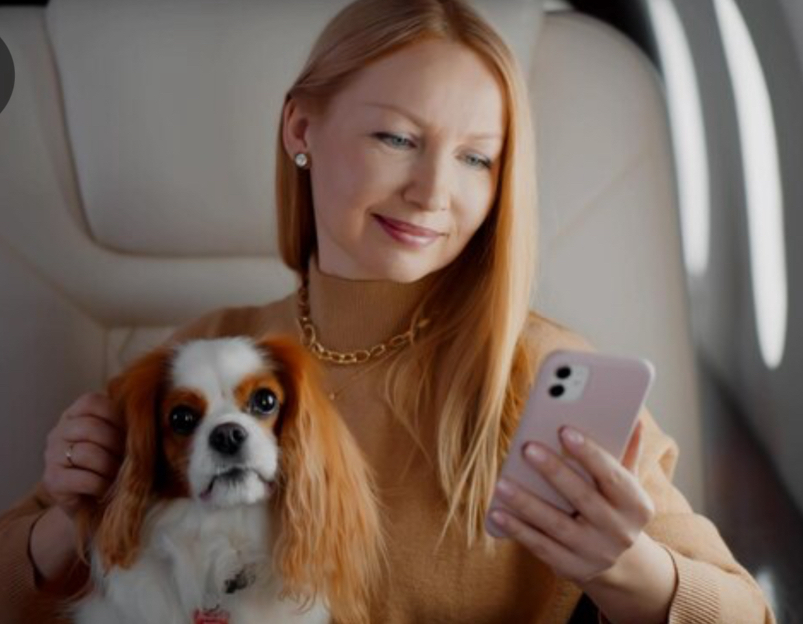 Chauffeur service, Louisiana, Luxury drives, protection's image