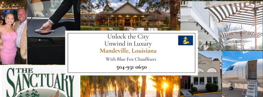 Chauffeur service, Louisiana, Luxury drives, protection's image