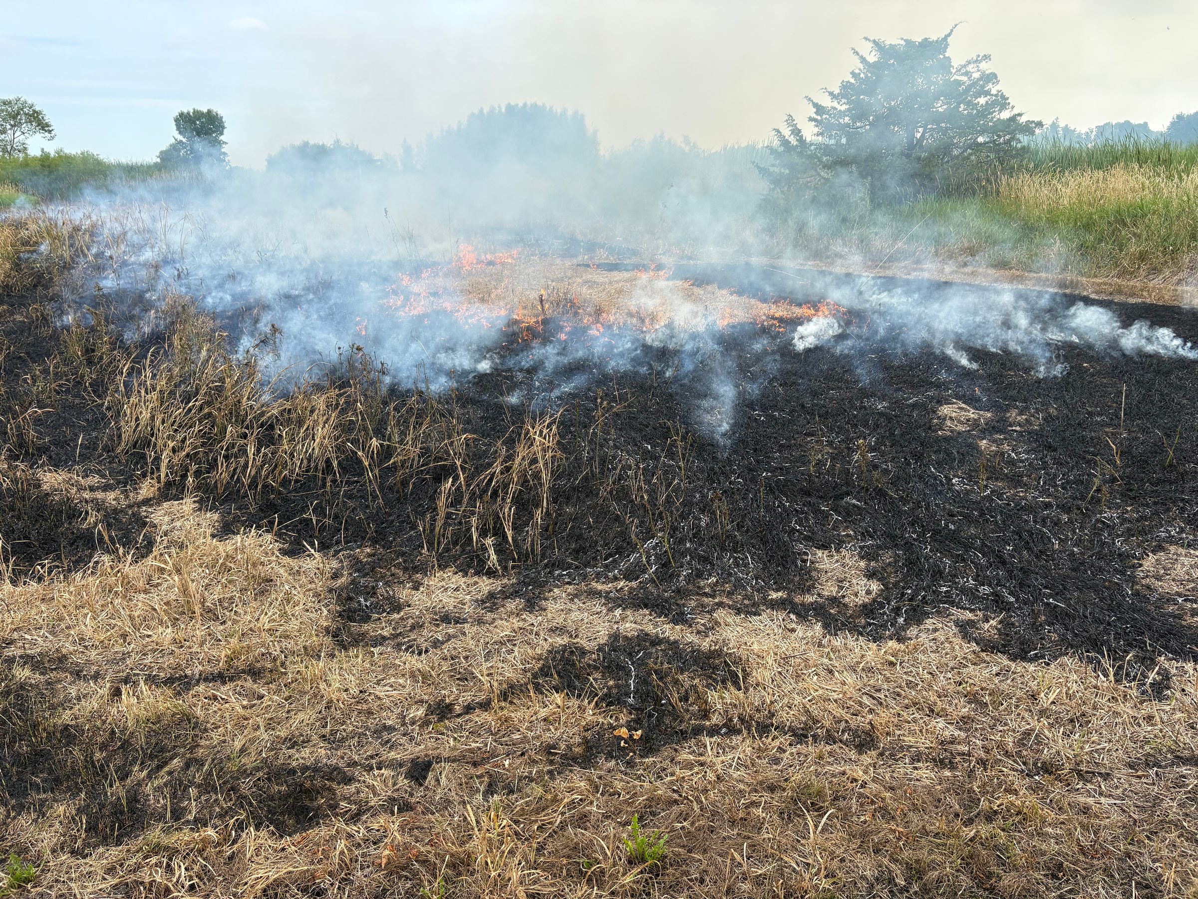Prescribed Burn