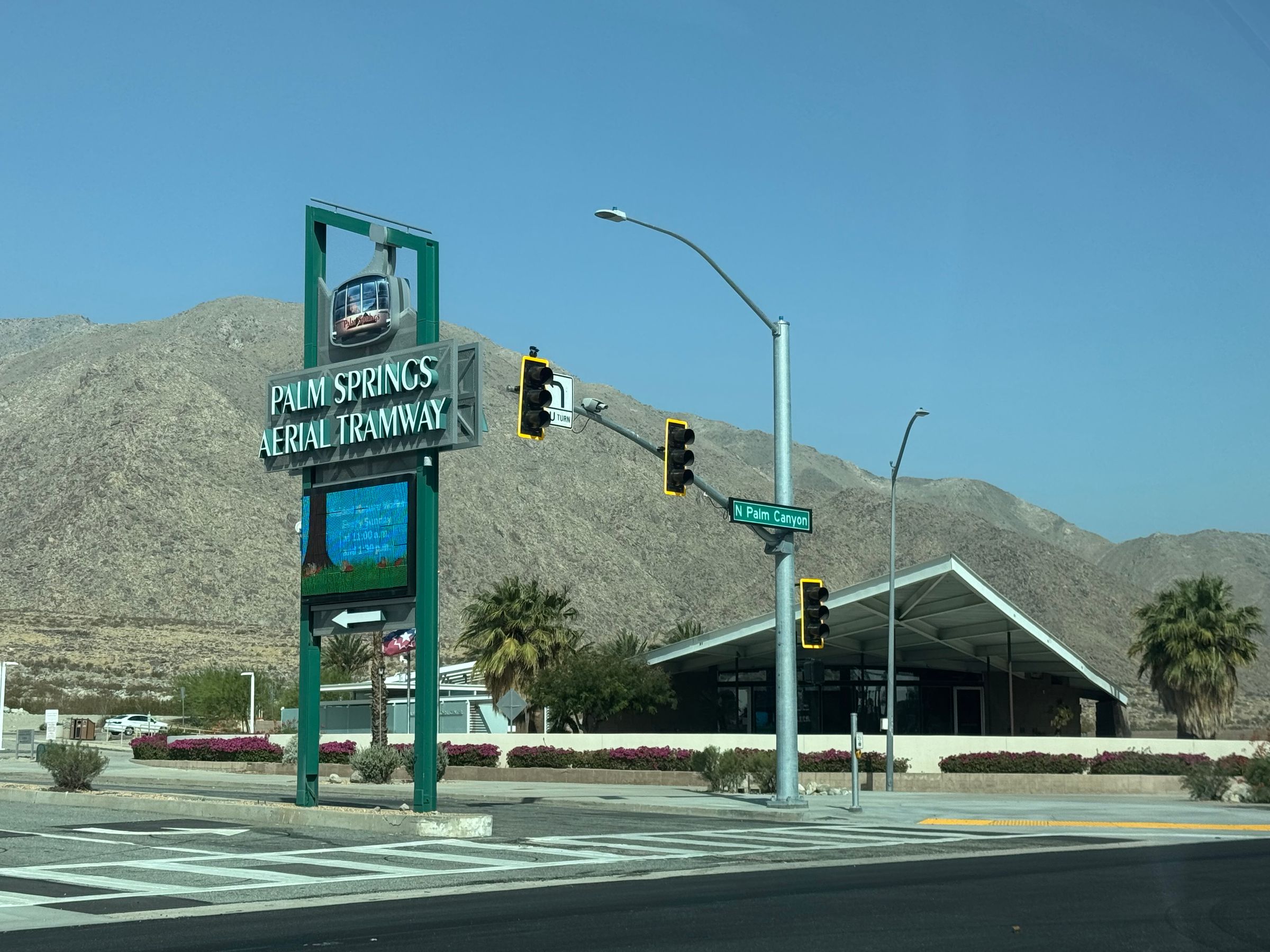 paws and friends  companion care services non - profit 's image