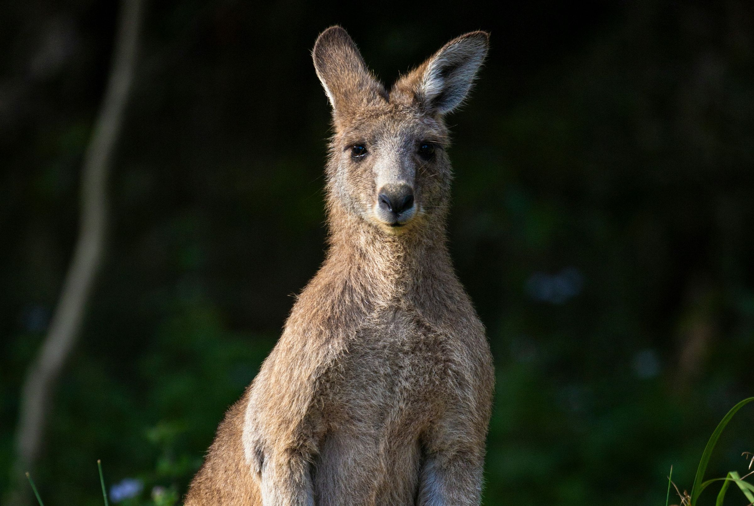 DAMFine Lives's image