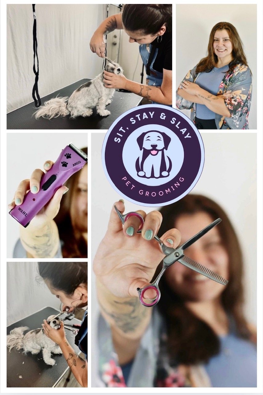 SIT, STAY & SLAY 's image