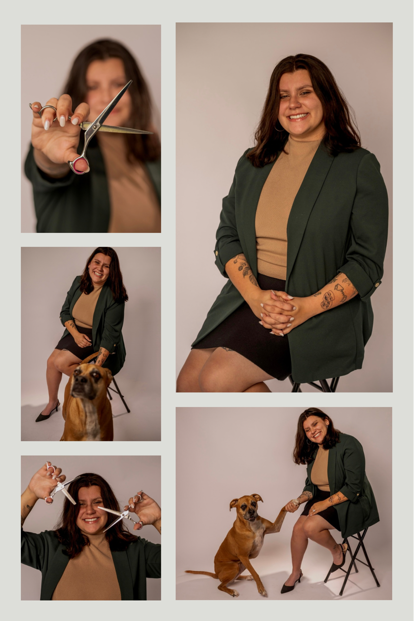 SIT, STAY & SLAY 's image