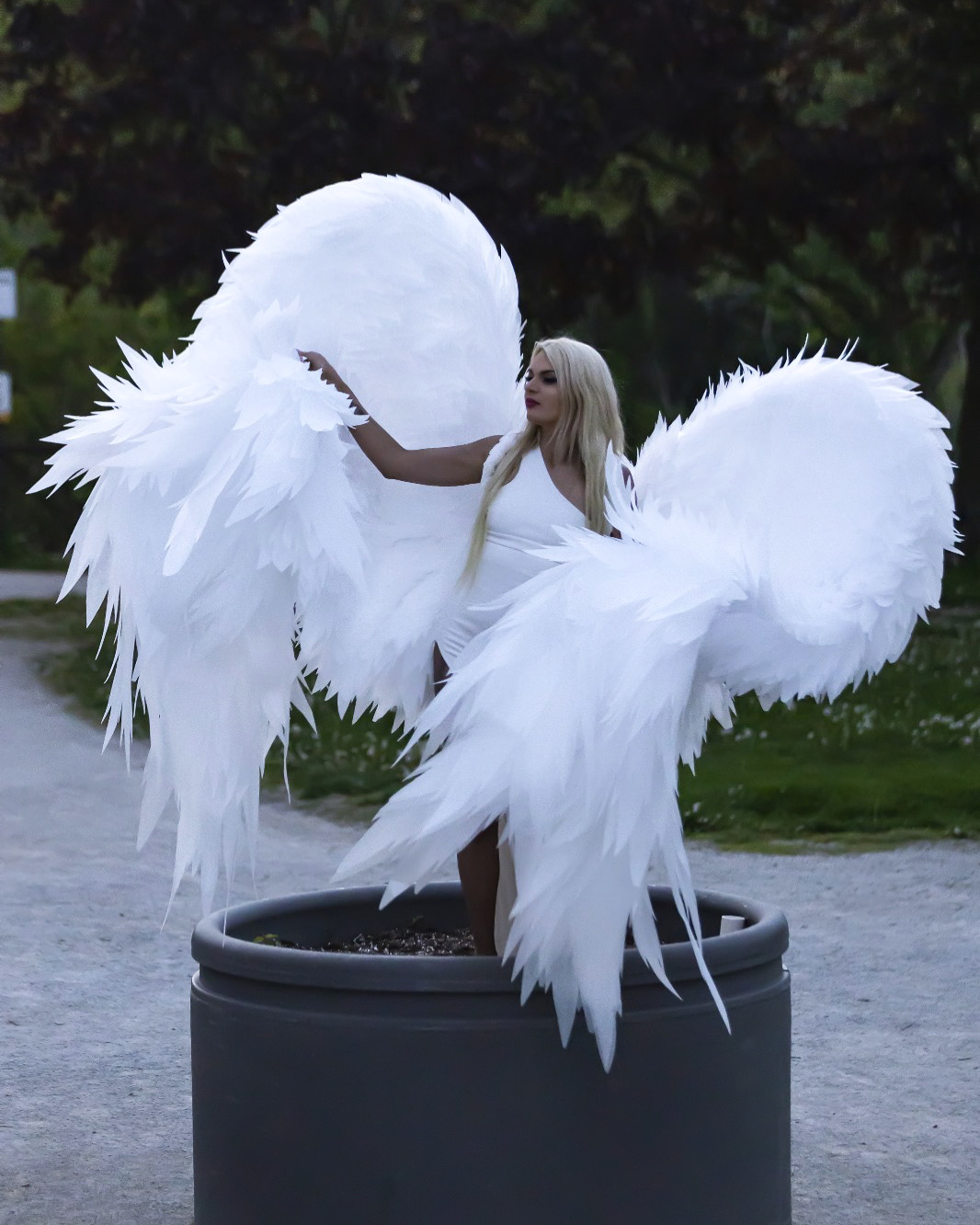 Wing of Canada 's image