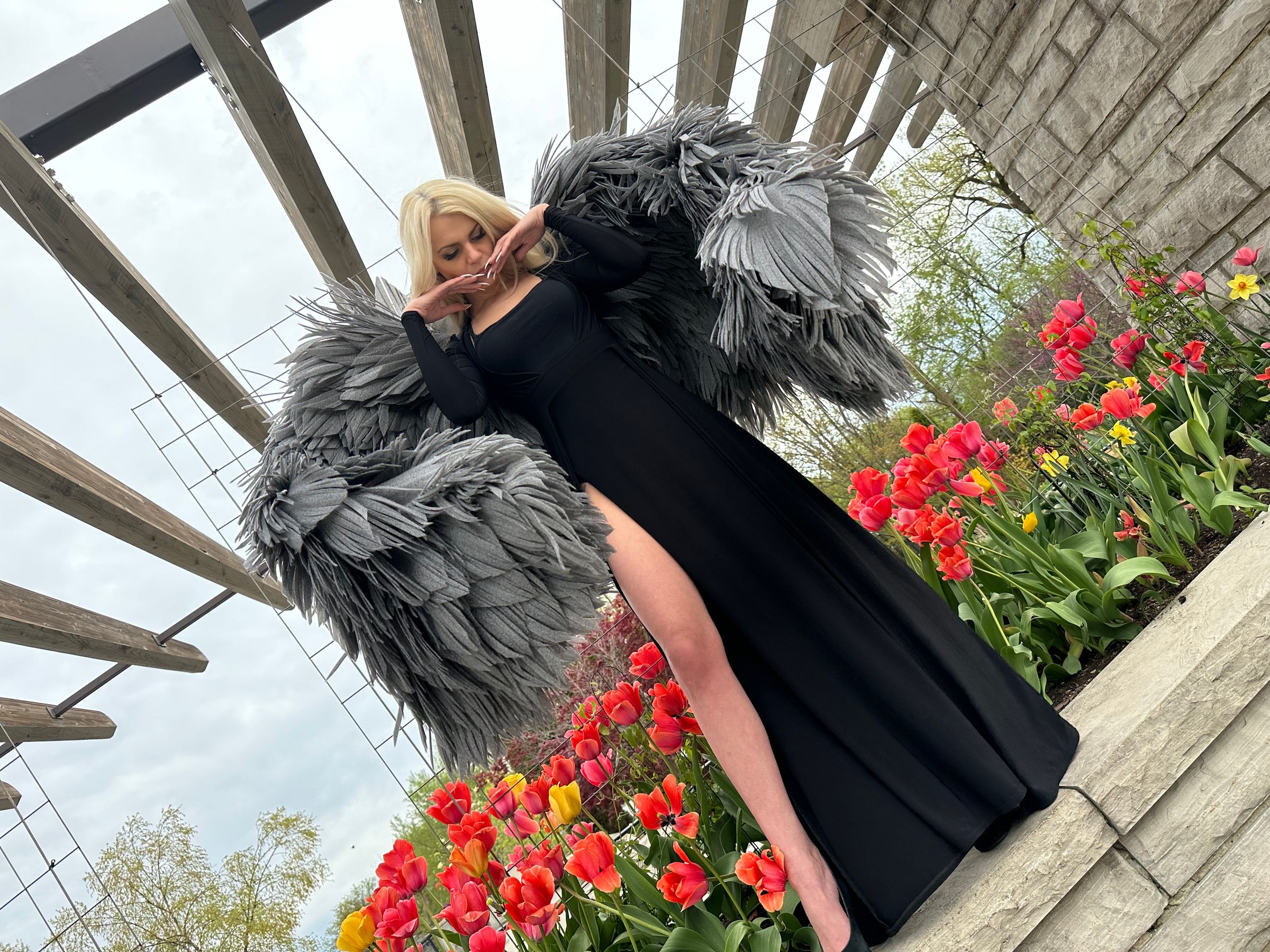 Wing of Canada 's image