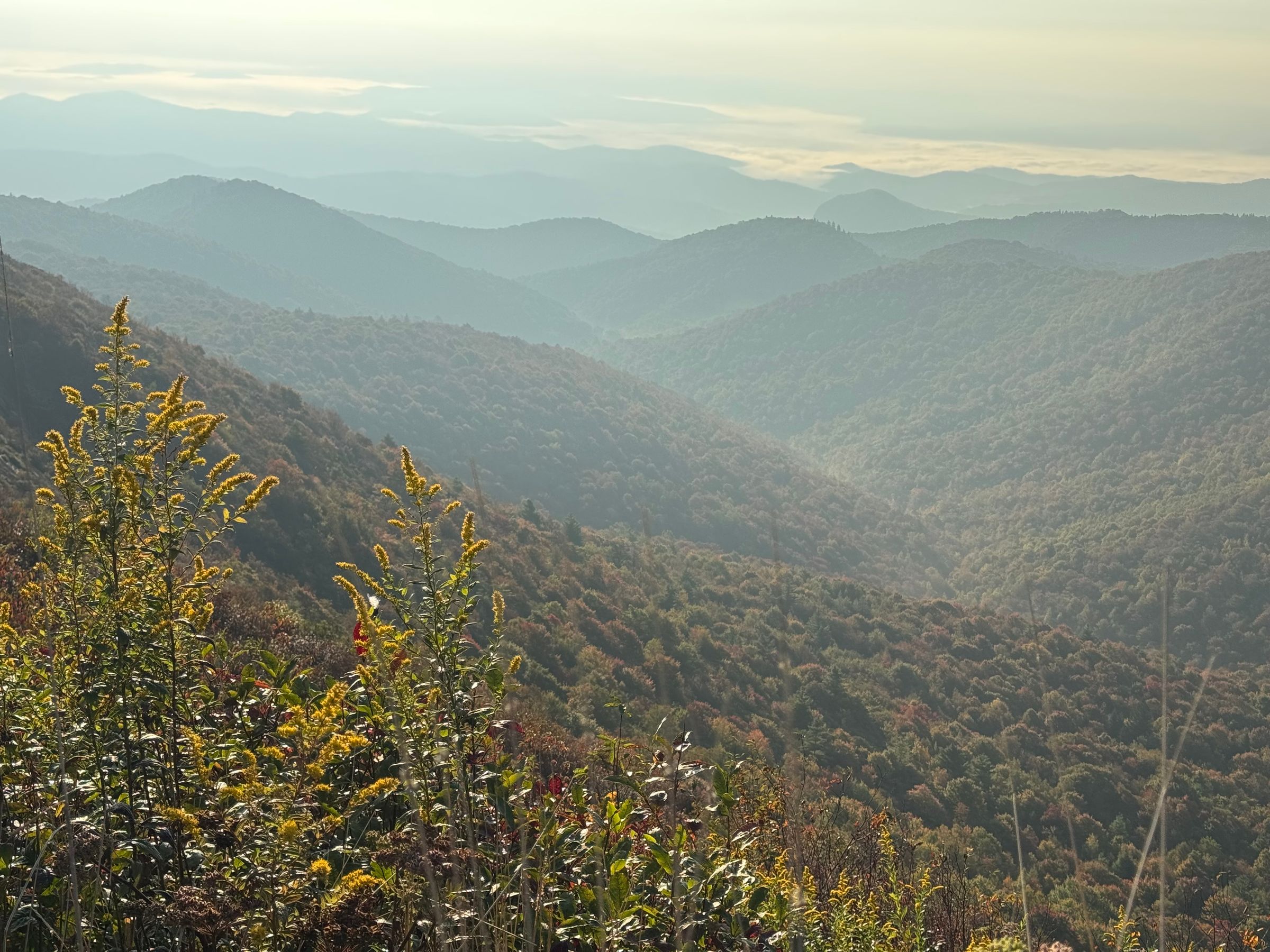 HP Custom Tile's image