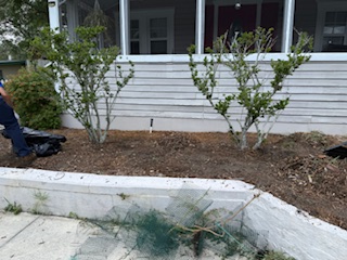 ProMasters Landscape's image