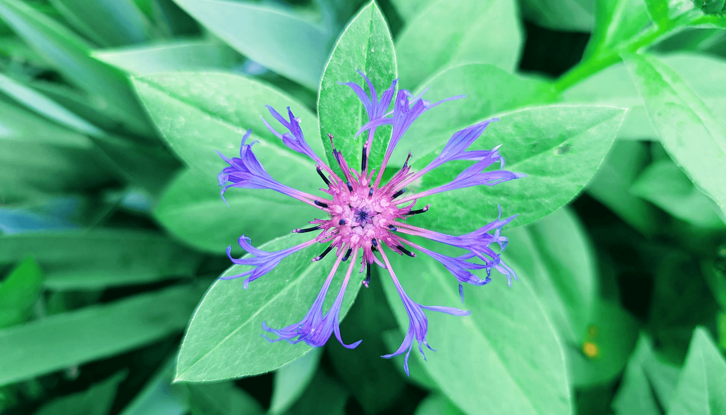 Colors By Case's image