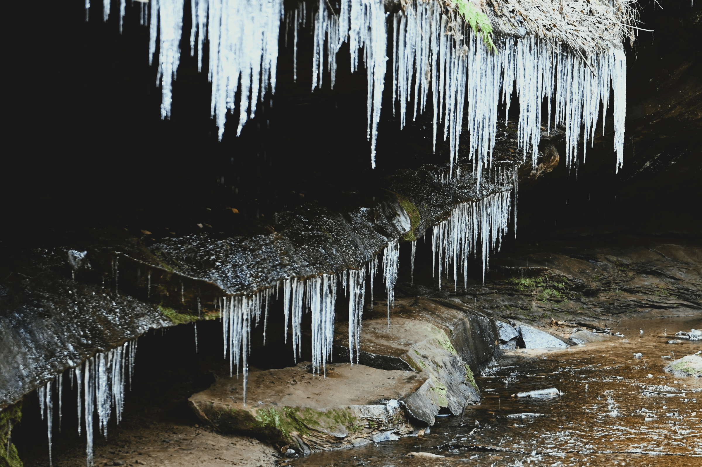 Colors By Case's image