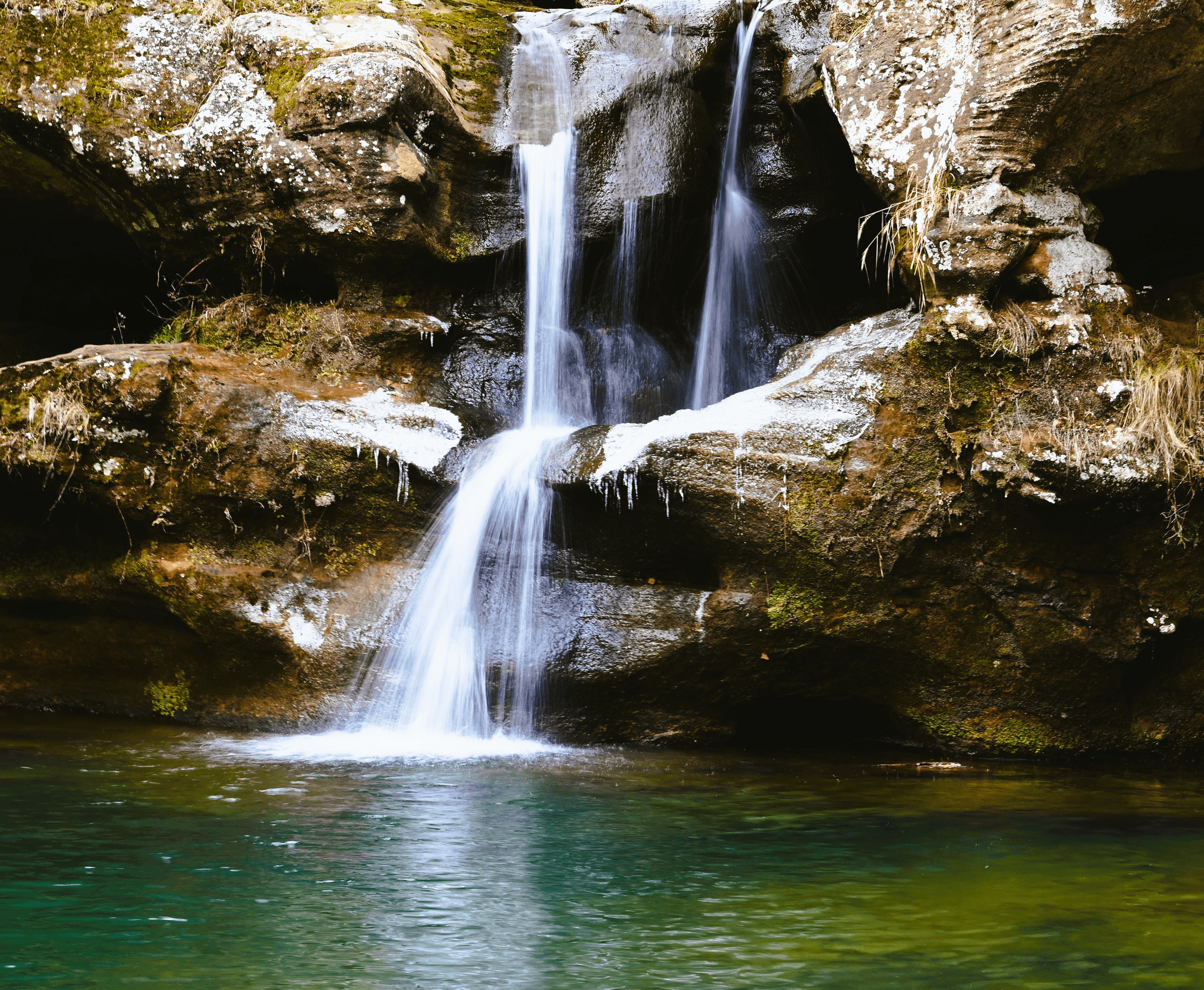 Colors By Case's image