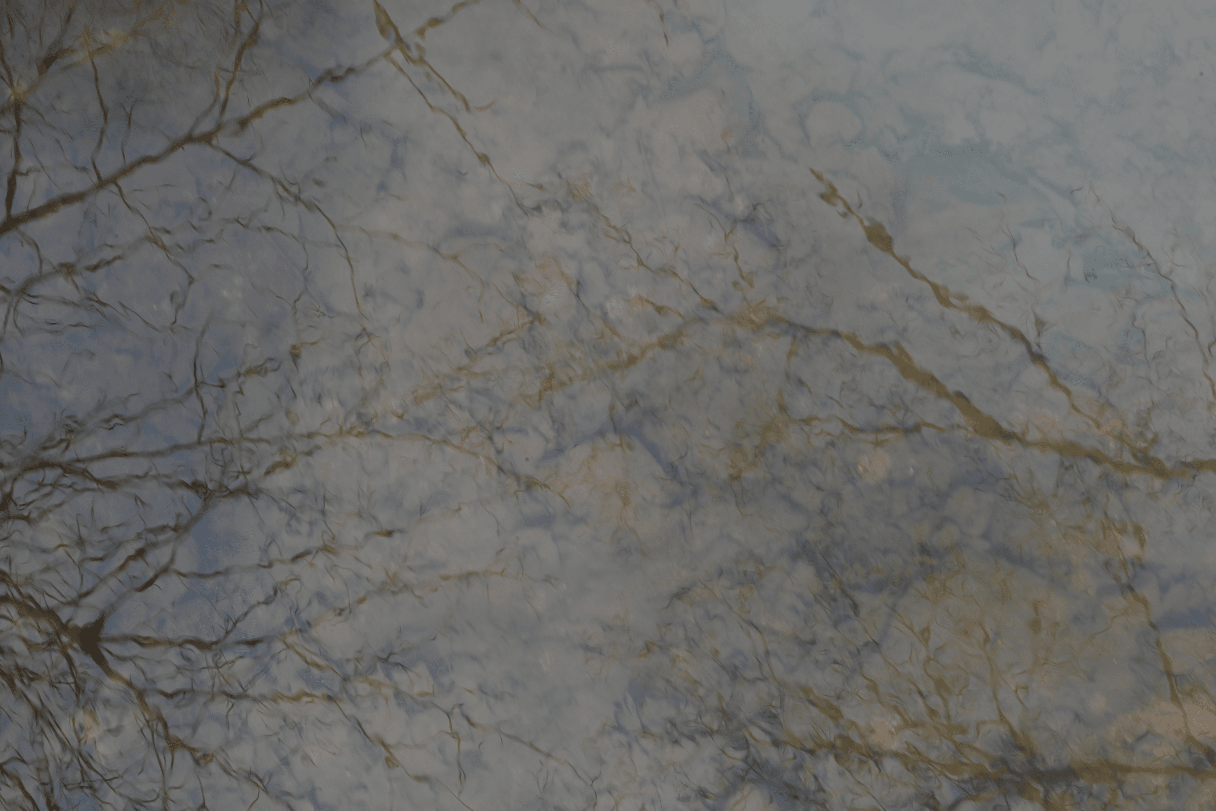 Colors By Case's image