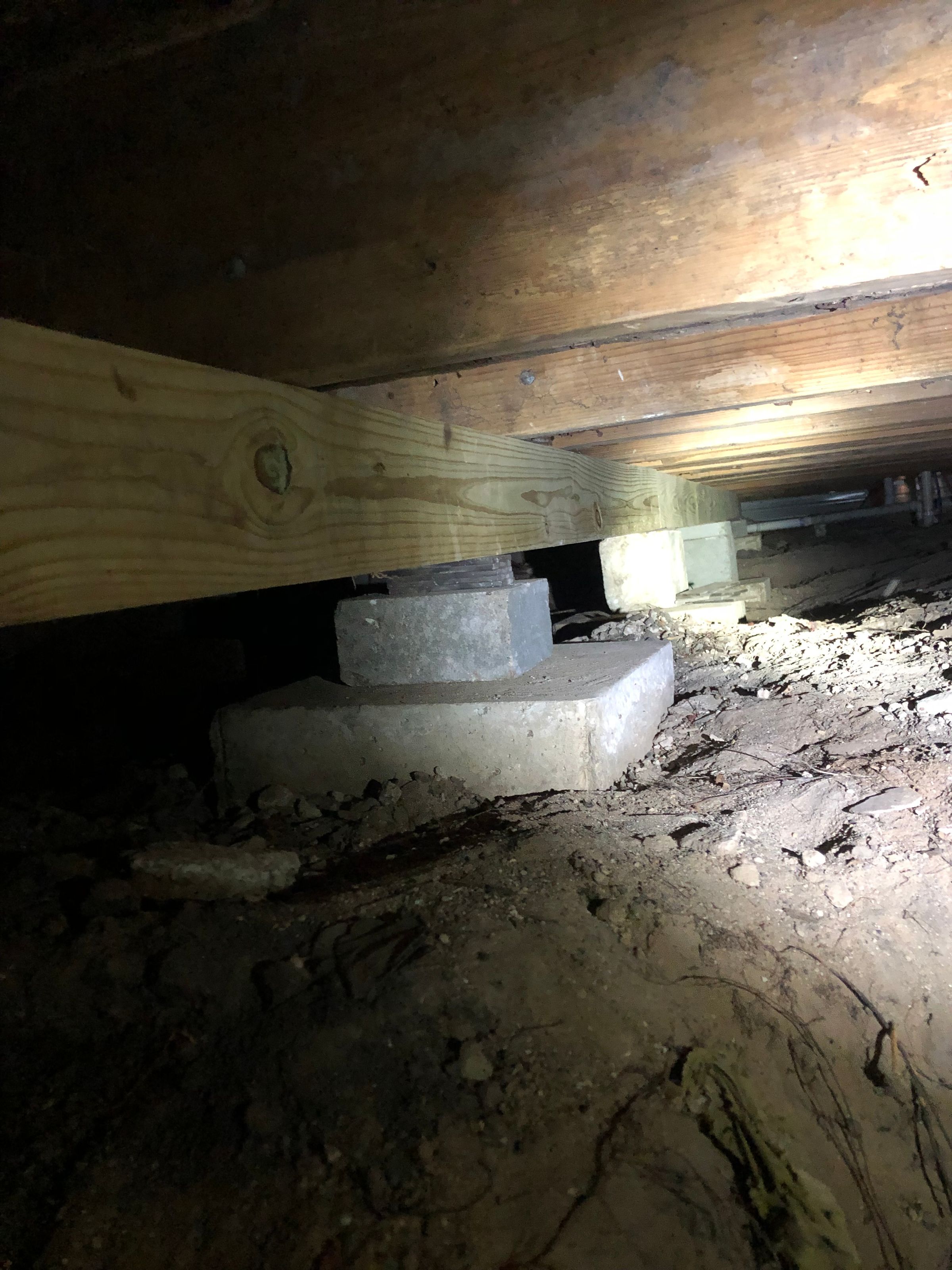 Cruz Foundation Repair and Concrete's image