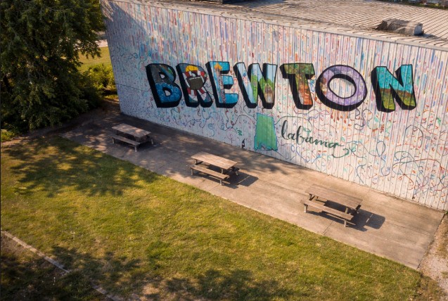 Land Improvement | Blizzard Management Plus's image