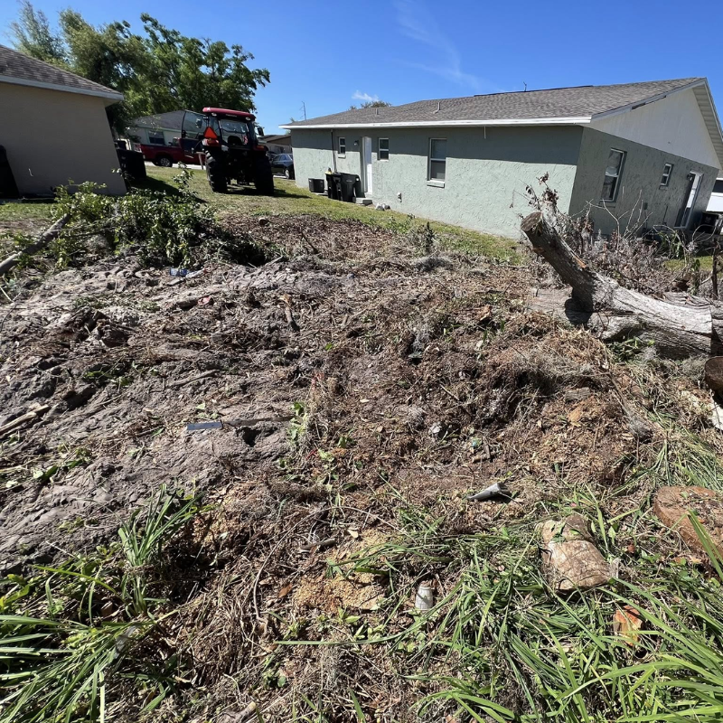 Land Improvement | Blizzard Management Plus's image