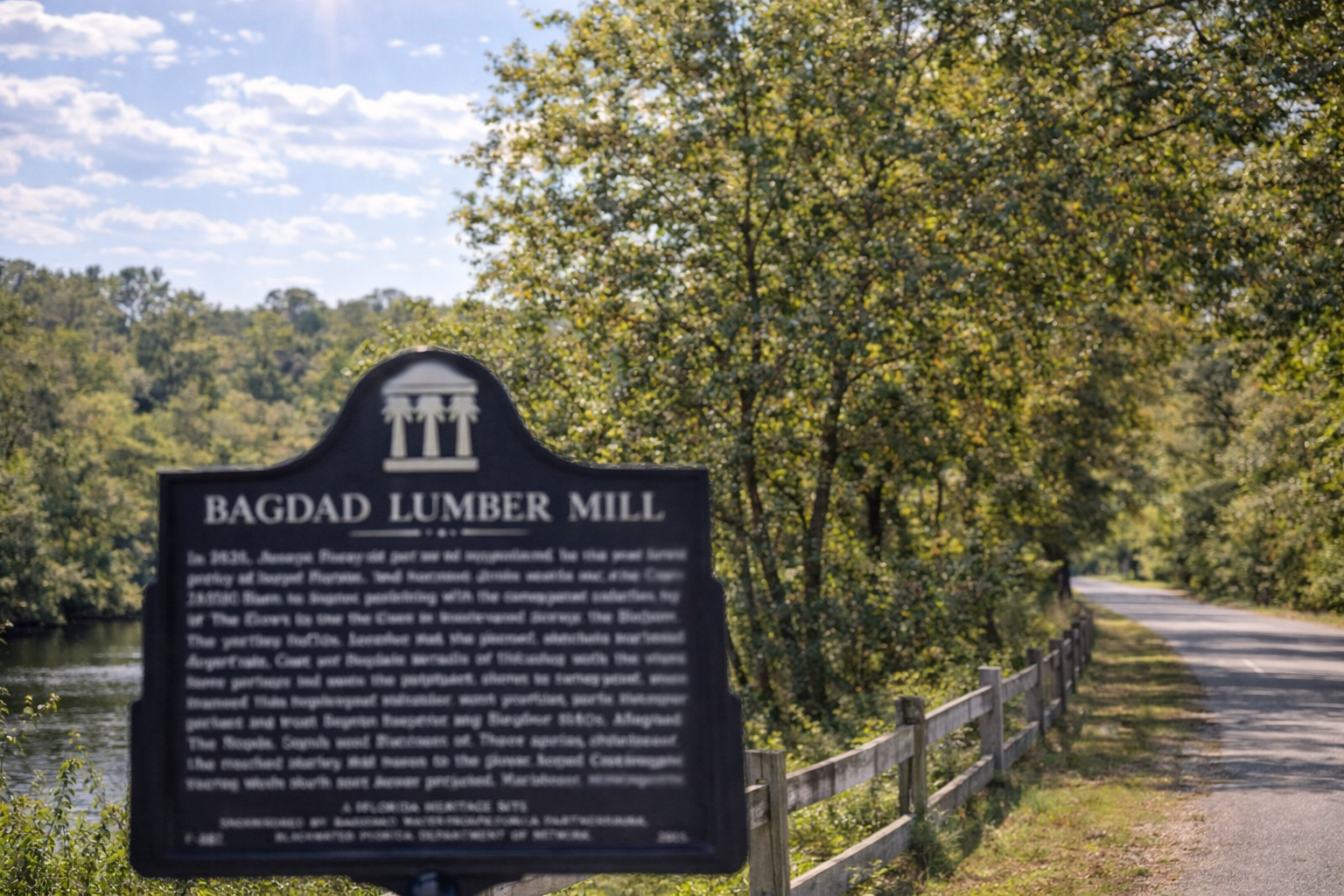 Land Improvement | Blizzard Management Plus's image