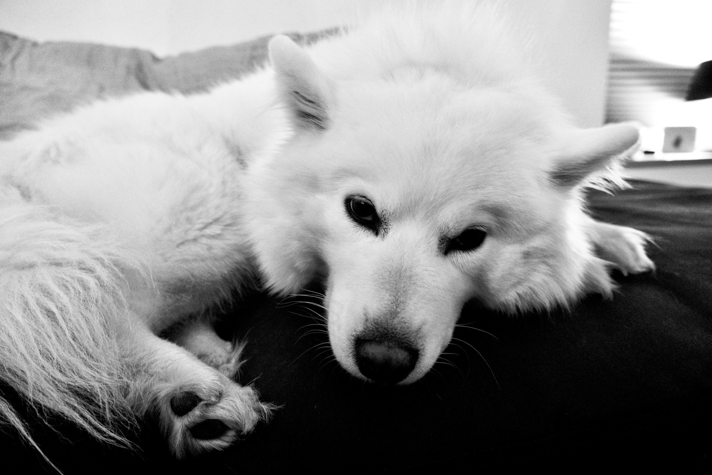 Handmade ceramics crafted in Dingle, Ireland 's image