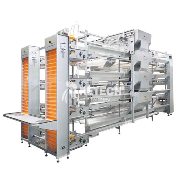 Quality bird's image