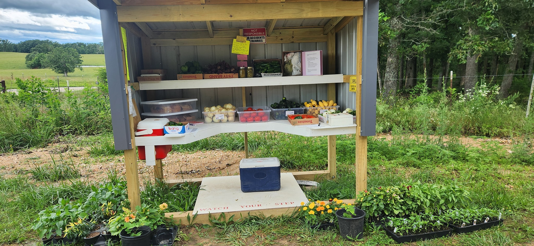 Curtis's Baked Goods and Gifts's image