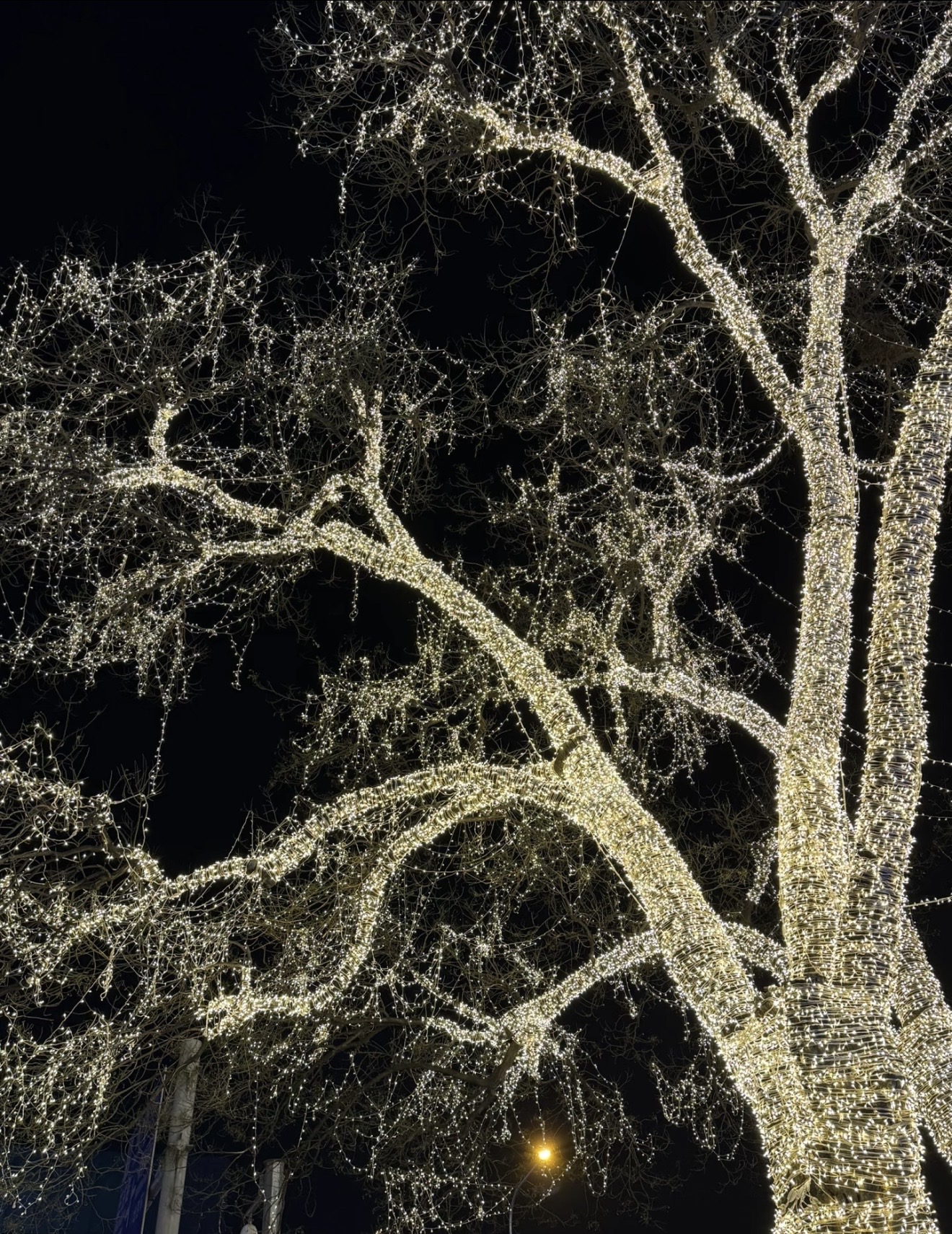 Sanhao Lights's image