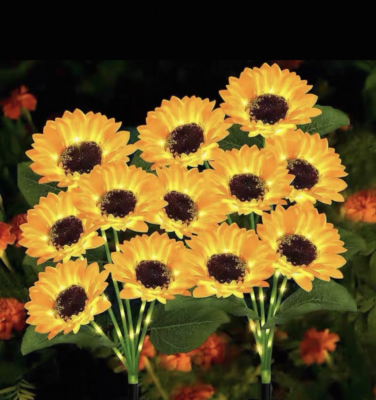 Sanhao Lights's image