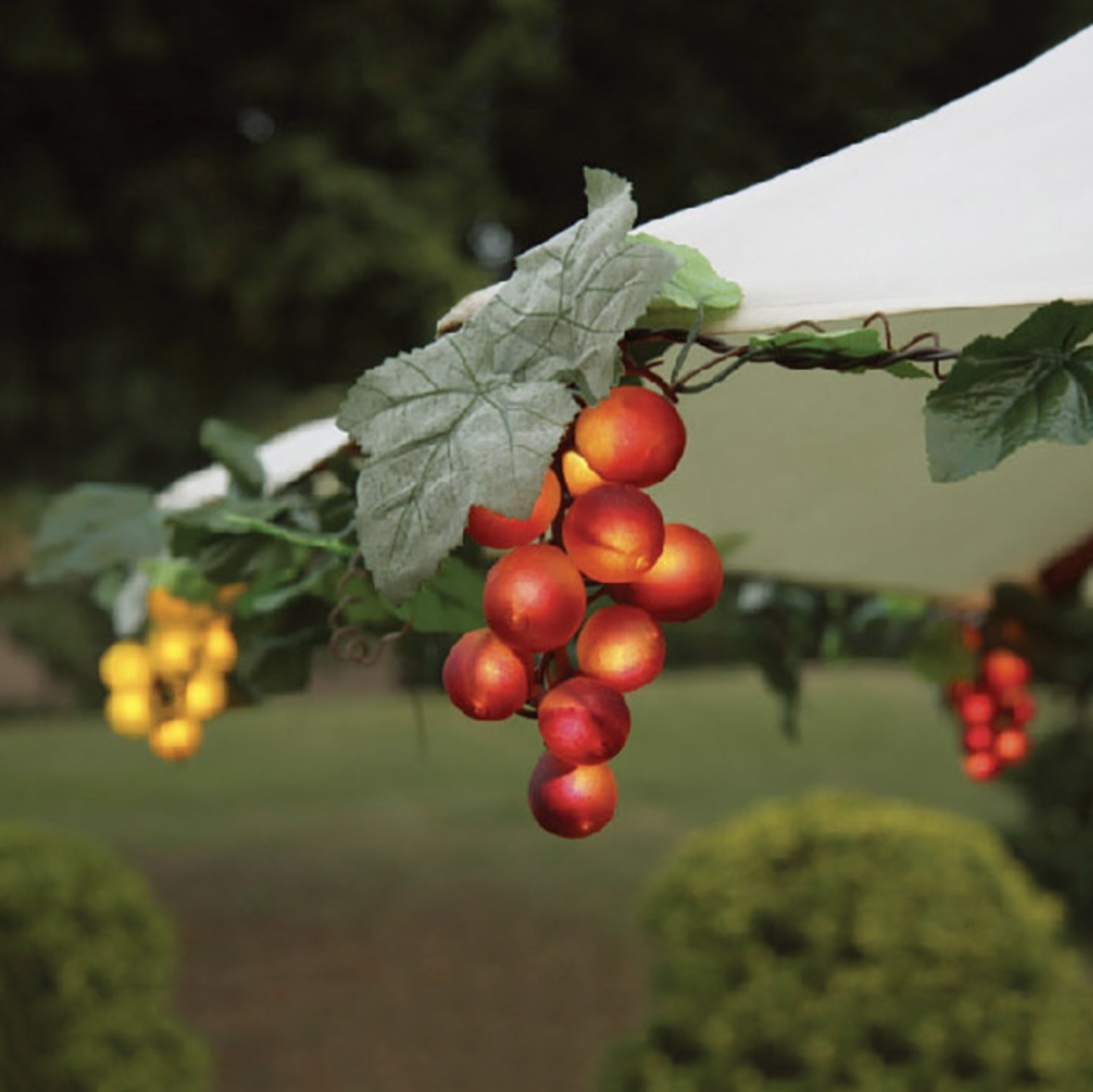 Sanhao Lights's image