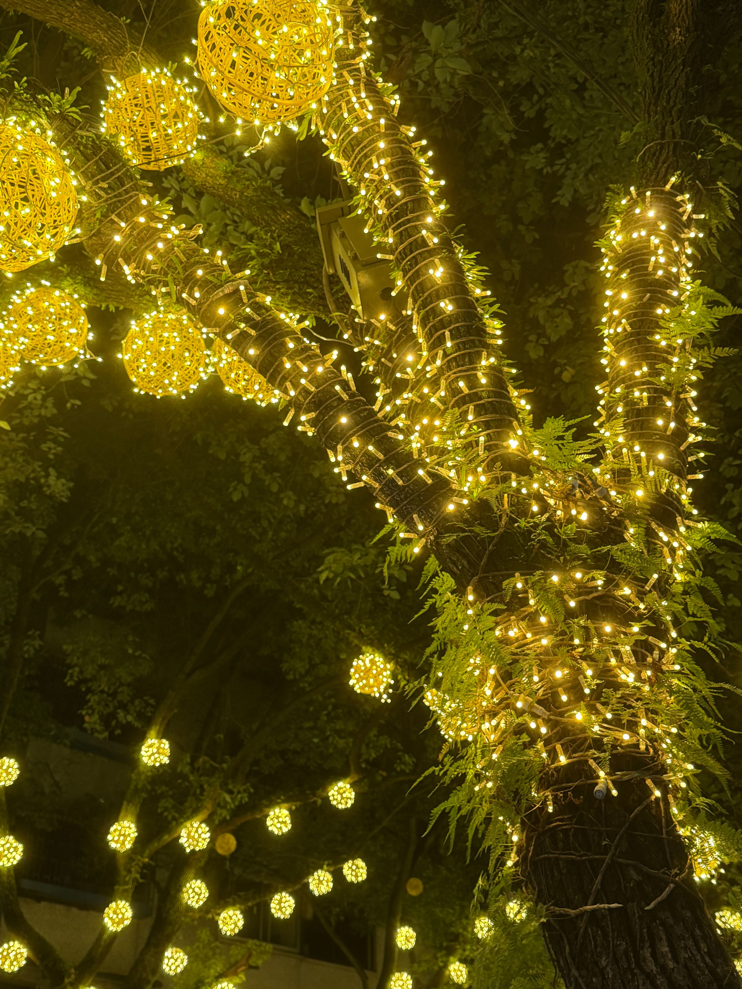 Sanhao Lights's image