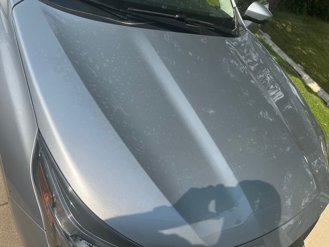 Before Detail