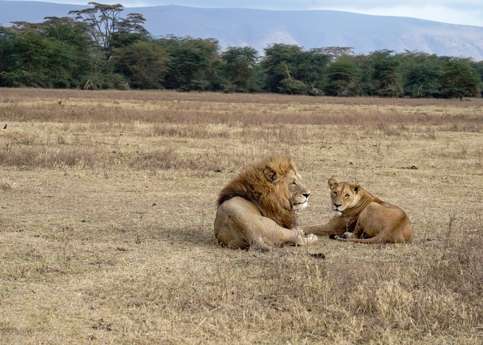 J7 TOURS AND SAFARI 's image
