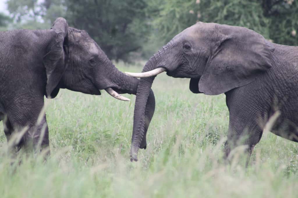 J7 TOURS AND SAFARI 's image