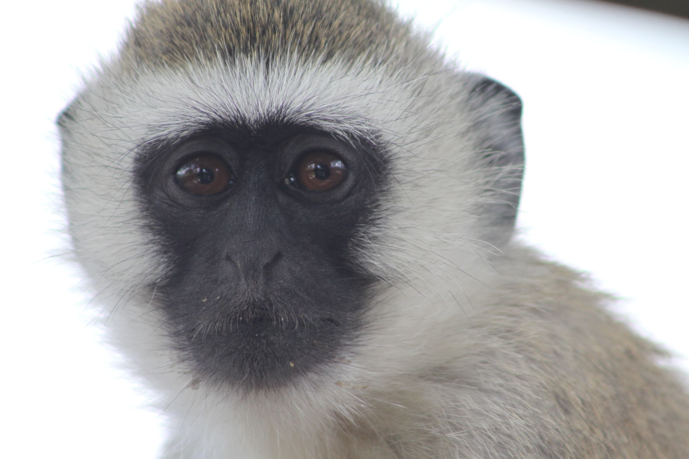 J7 TOURS AND SAFARI 's image