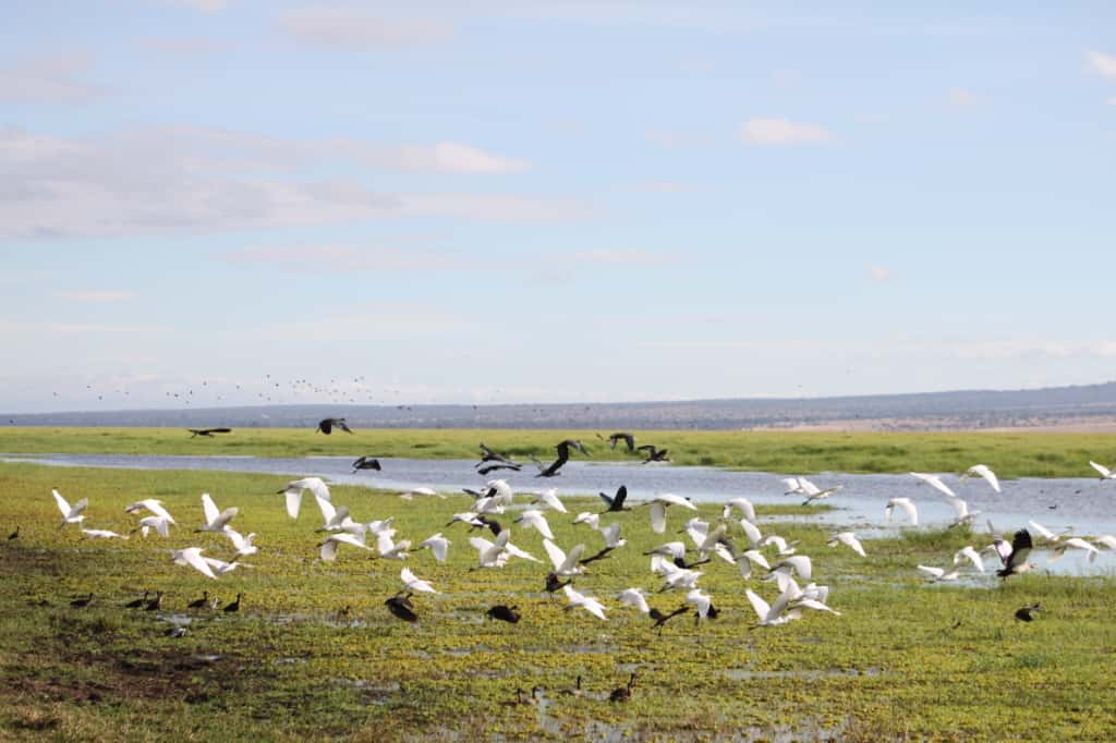 J7 TOURS AND SAFARI 's image