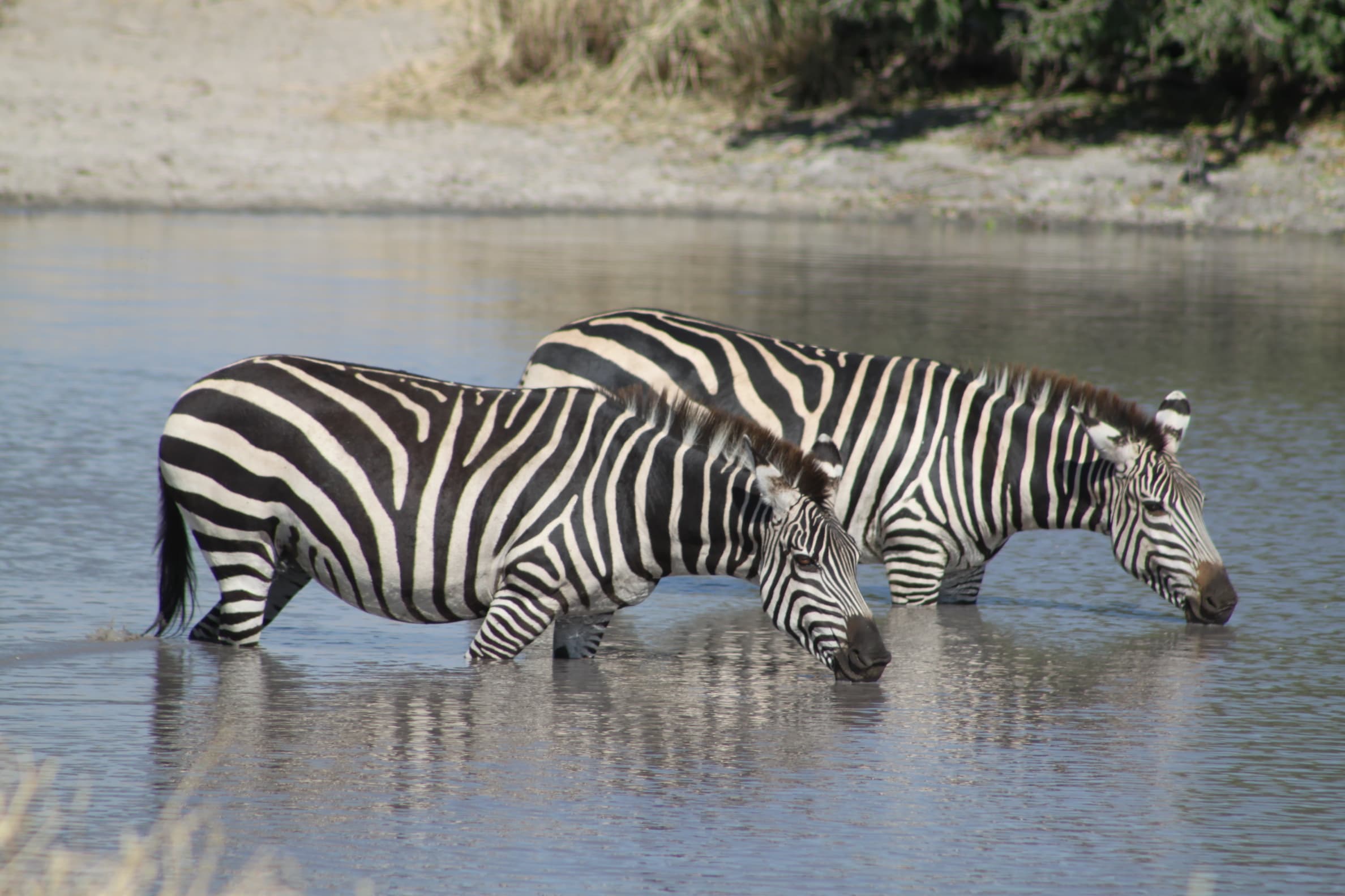 J7 TOURS AND SAFARI 's image