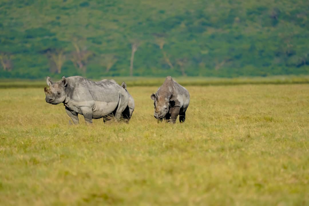 J7 TOURS AND SAFARI 's image