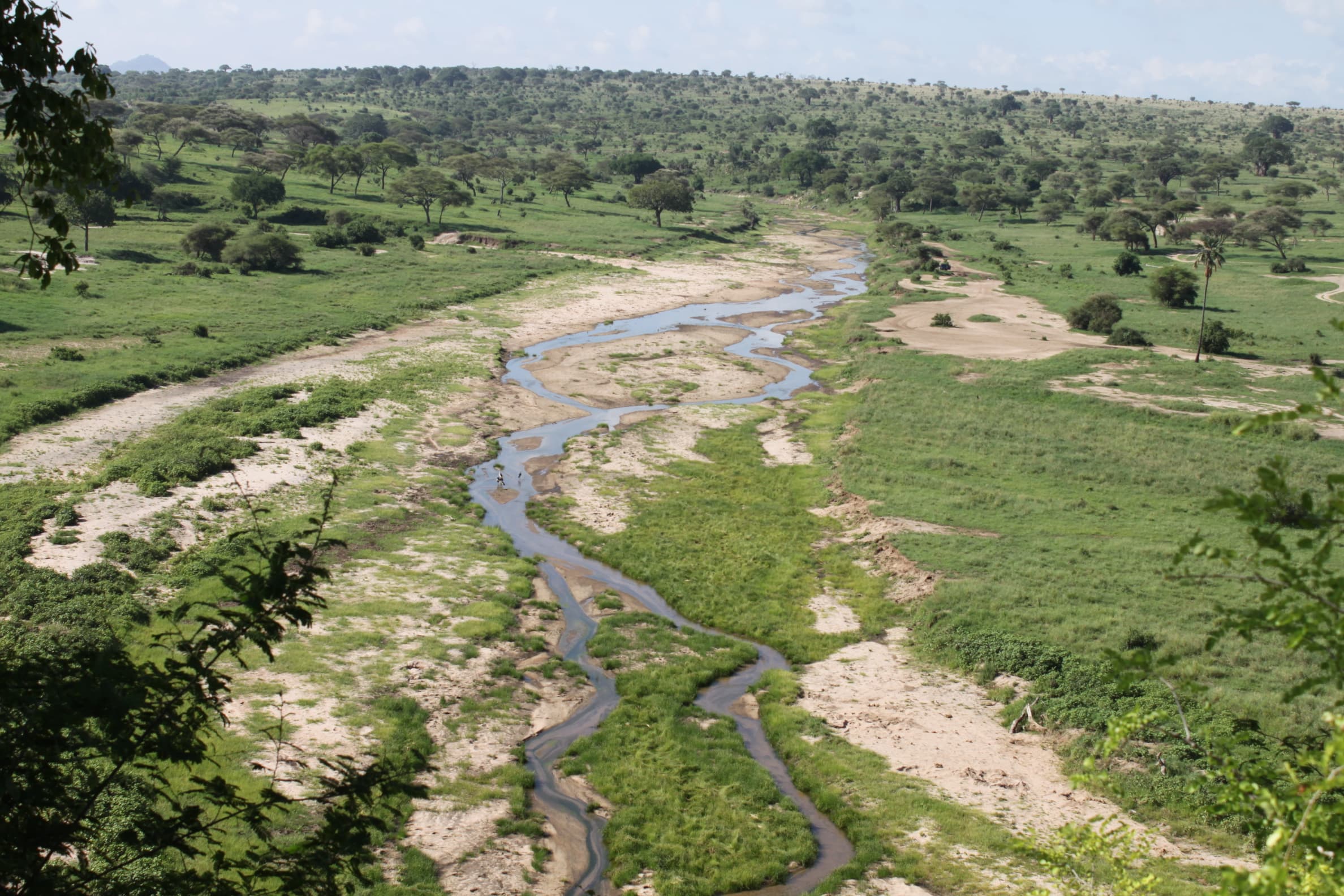 J7 TOURS AND SAFARI 's image