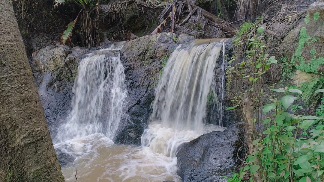 J7 TOURS AND SAFARI 's image