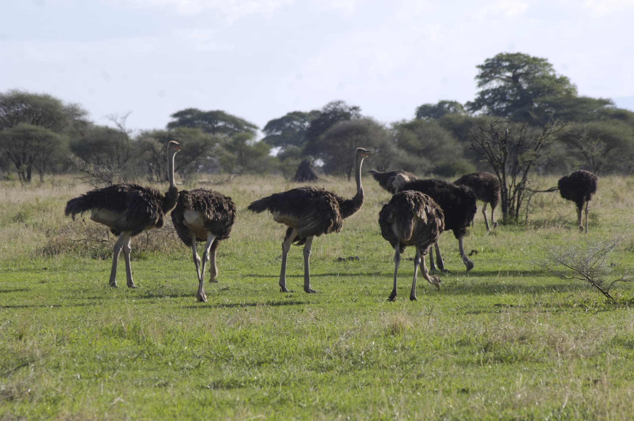 J7 TOURS AND SAFARI 's image